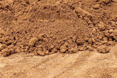 sandy loam