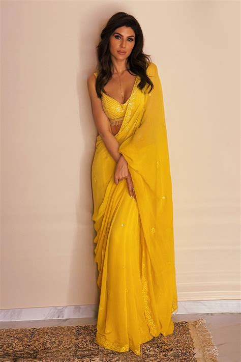 elnaaz norouzi  camellia ombre chikankari saree
