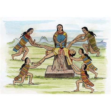 Mexico Aztec Sacrifice Nhuman Sacrifice After An Aztec Codex Rolled ...