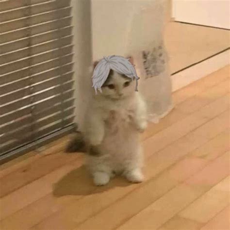 reference gif reference discover share gifs