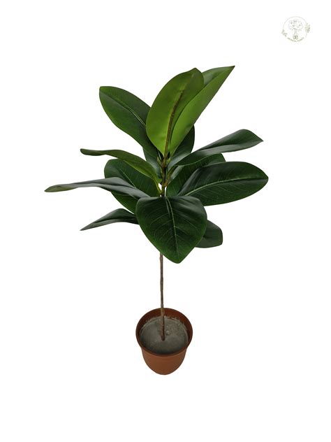 2.5ft Magnolia Plant – FS ARTIFICIAL PLANTS