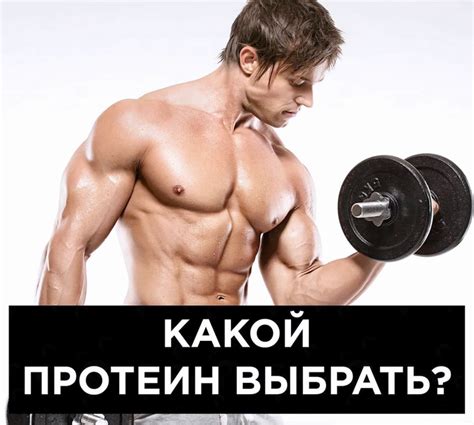 Какой протеин выбрать?Обзор лучших протеинов. | ©Мужской блог