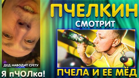 Пчелкин смотрит : пчела и её мёд) / Алексей Пчелкин В ШОКЕ - YouTube