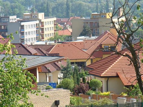 Borek - Živéobce.cz