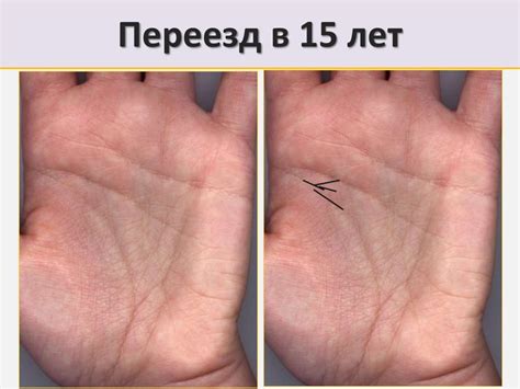 Хиромантия. Датировка по фалангам - презентация онлайн