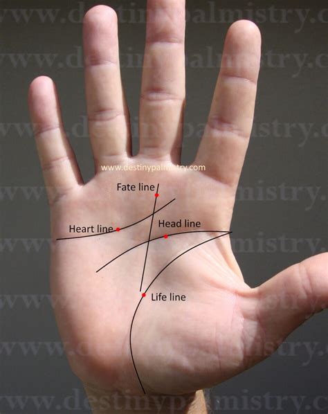 Star-Shaped Lines on the Palm and What They Mean - Destiny Palmistry