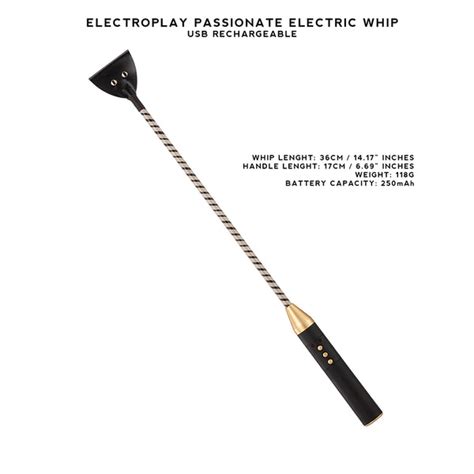 passionate bdsm electro play series whip cane paddle baton usb