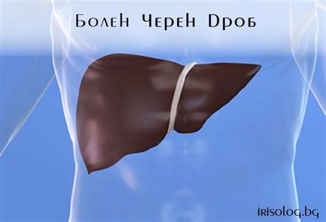 Болен черен дроб - блог статия - irisolog.bg