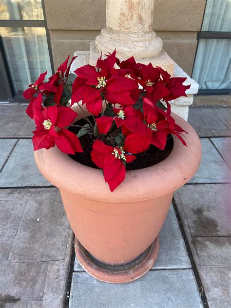 Packing and Shipping Services at Coors Road NW, Albuquerque