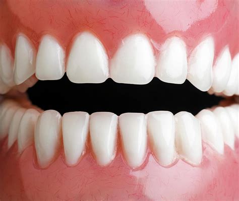teeth  close   donald peterson blog