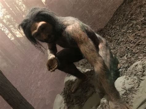 Homo Ergaster