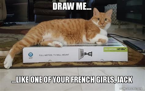 Cat Draw Me Like One Of Your French Girls - Cat Lovster