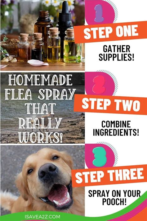 Homemade Homemade Flea Spray for dogs! Chemical free!