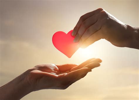 positive impact  community contribution vortex solution