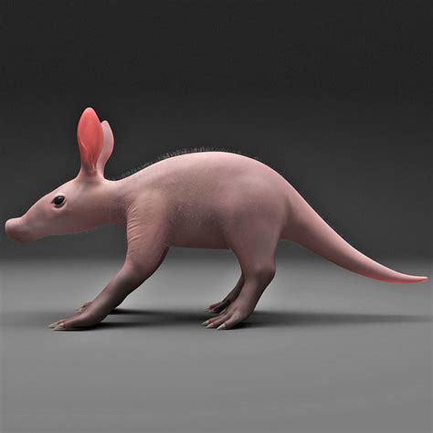 3dsmax baby aardvark