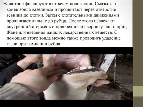 Зондирование - презентация онлайн
