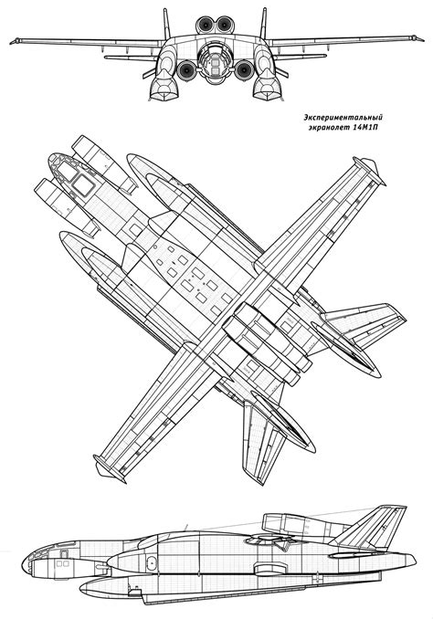 amazing machine | www.airwar.ru/image/idop/xplane/14m1p/14m1… | Flickr