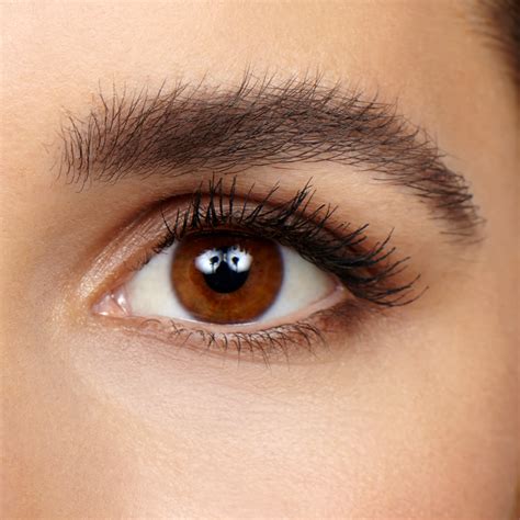 Perfect Brow - Brow Lift - Black Eyebrow Pencil | Charlotte Tilbury