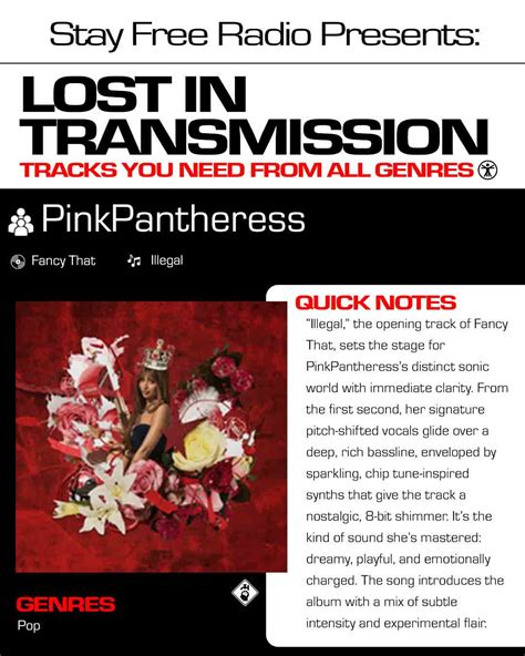 Pink Pantheress Illegal Lyrics Meaning Explained