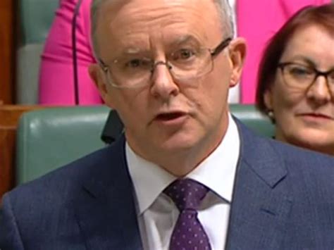 anthony albanese herald sun