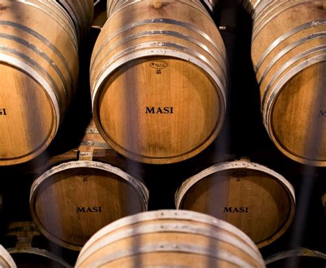 Masi • Food and Wine Italia