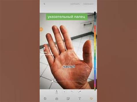 указательный палец #хиромантия #хиромантиндира #судьбаналадони - YouTube