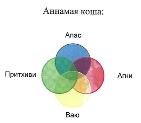 3 тела человека | nextOHM тела человека