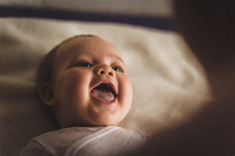 babies start laughing baby chick