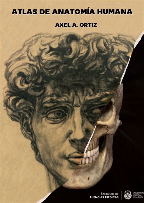 ATLAS DE ANATOMÍA HUMANA- A.A. ORTIZ.pdf | DocDroid