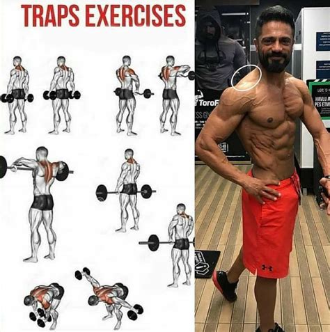Shoulder Shrug Exercise