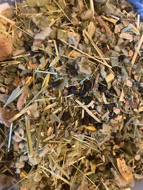 TEA- ALLERGY RELIEF – Earthside Provisions