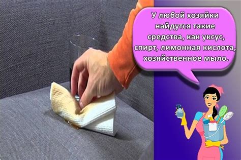 Как убрать запах пива с дивана: ТОП 15 народных и специальных средств ...