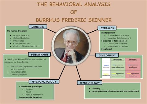bf skinner concept map psy  harvard studocu