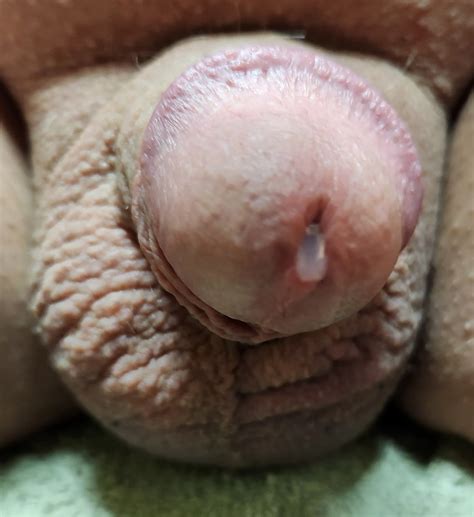 Small Cock Pre-Cum - 5 Pics | xHamster