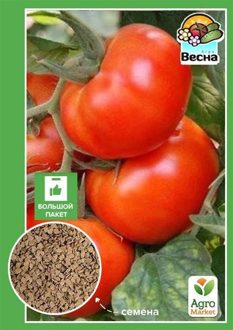 Томат "Сверхранний" (Большой пакет) ТМ "Весна" 1г купить почтой в ...