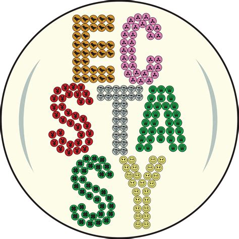 EIGHTIES CASUALS: 'ECSTASY' T-SHIRT