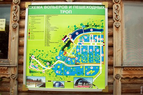 Могилёвский зоосад / Истории / Путешествия по Беларуси