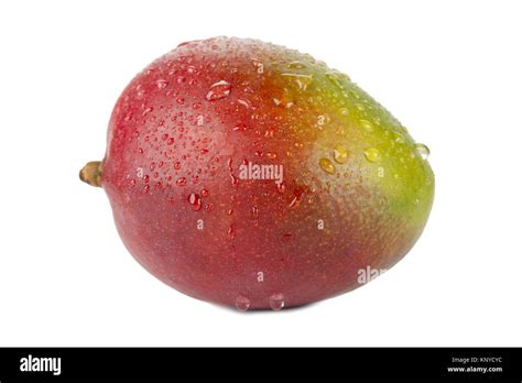 wet apple mango  res stock photography  images alamy