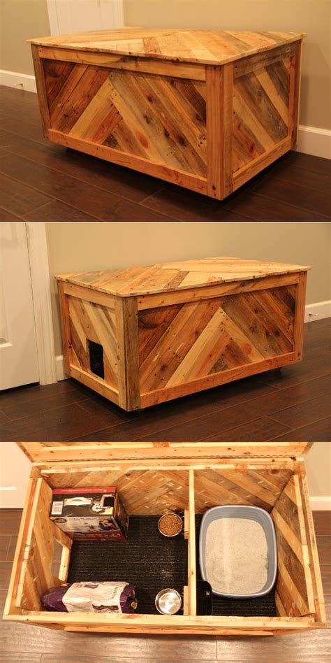 All in one cat box – Artofit
