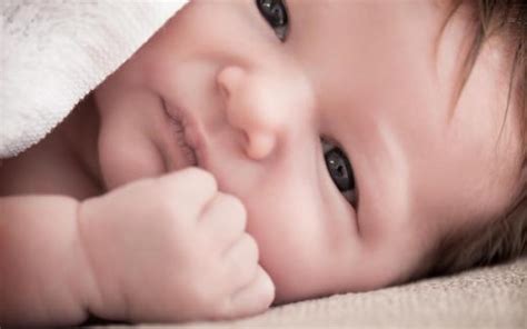 In the United States, what is a Natural Born Citizen?