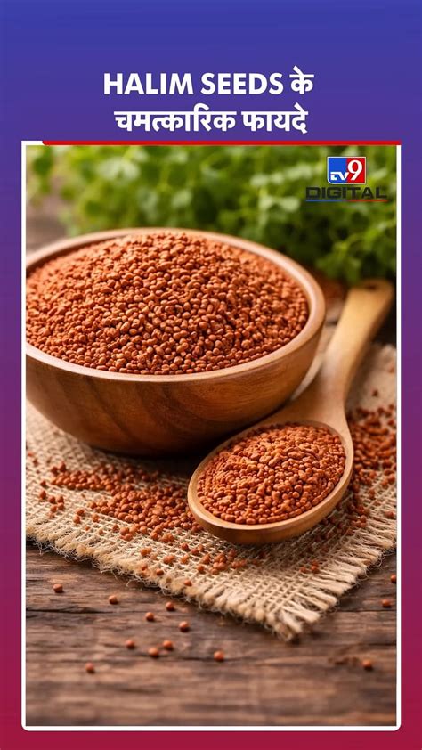 miraculous benefits  halim seeds  super seed   health