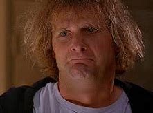 definicion de lerdo  es significado  concepto