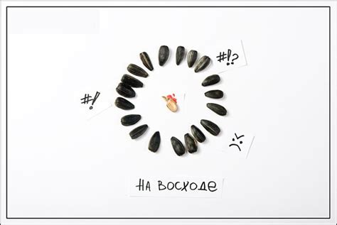 Приколи - картинки, відео приколи, смішні історії та анекдоти