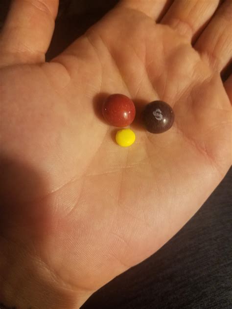 I got a mini skittle in my pack of skittles! : r/mildlyinteresting