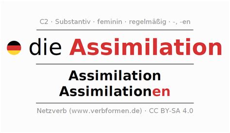 Deklination "Assimilation" - Alle Fälle des Substantivs, Plural und ...