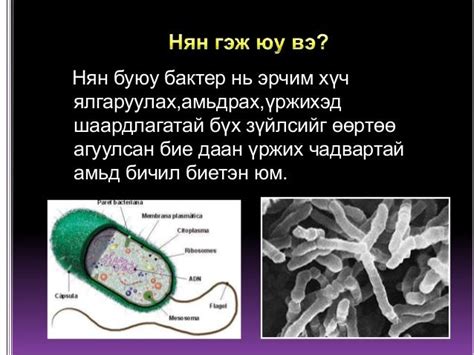 Нян