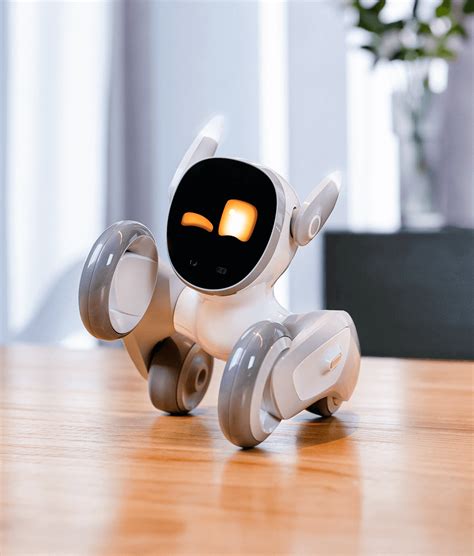 Loona Petbot: Loona is an intelligent pet robot created for companions