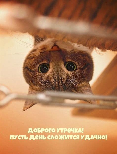 Pin by Streamline on Открытки | Post cards, Modern postcard, Good morning