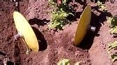 Окучник картофеля дисковый ручной. - YouTube