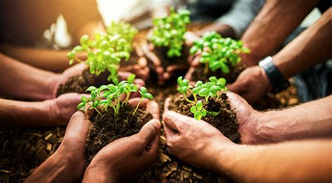 Os Consumidores Têm Muitas Opções Ecológicas Para Escolher. - 7 motivos para escolher um produto ecológico - Solven Solventes e Químicos